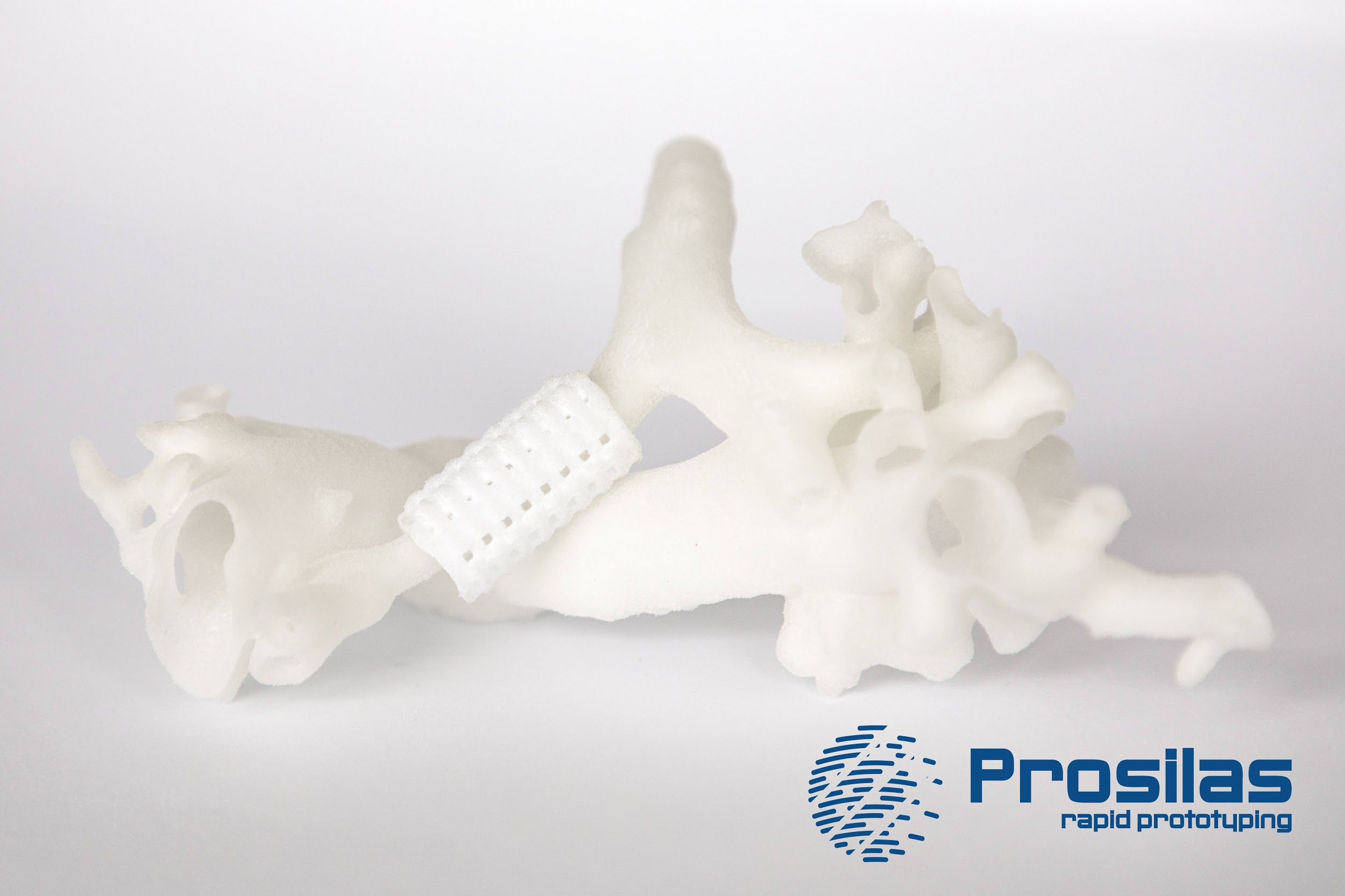 bronco stampa 3d prosilas
